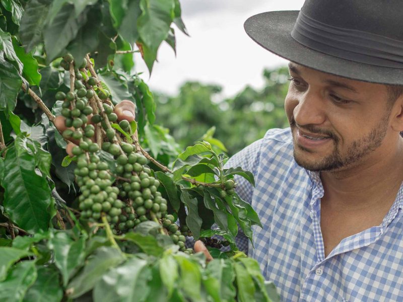 Indonesia’s Preparations for UNFCCC COP 15