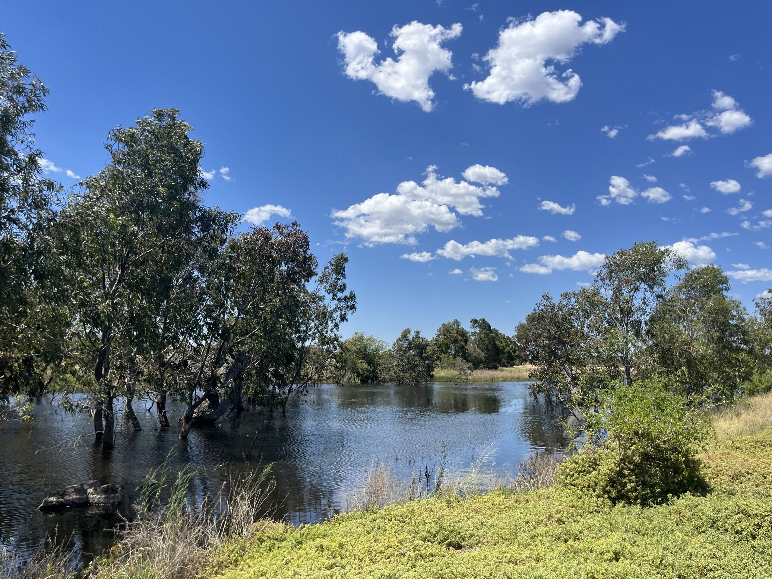 Parks Victoria Ecological Assessment for three new parks