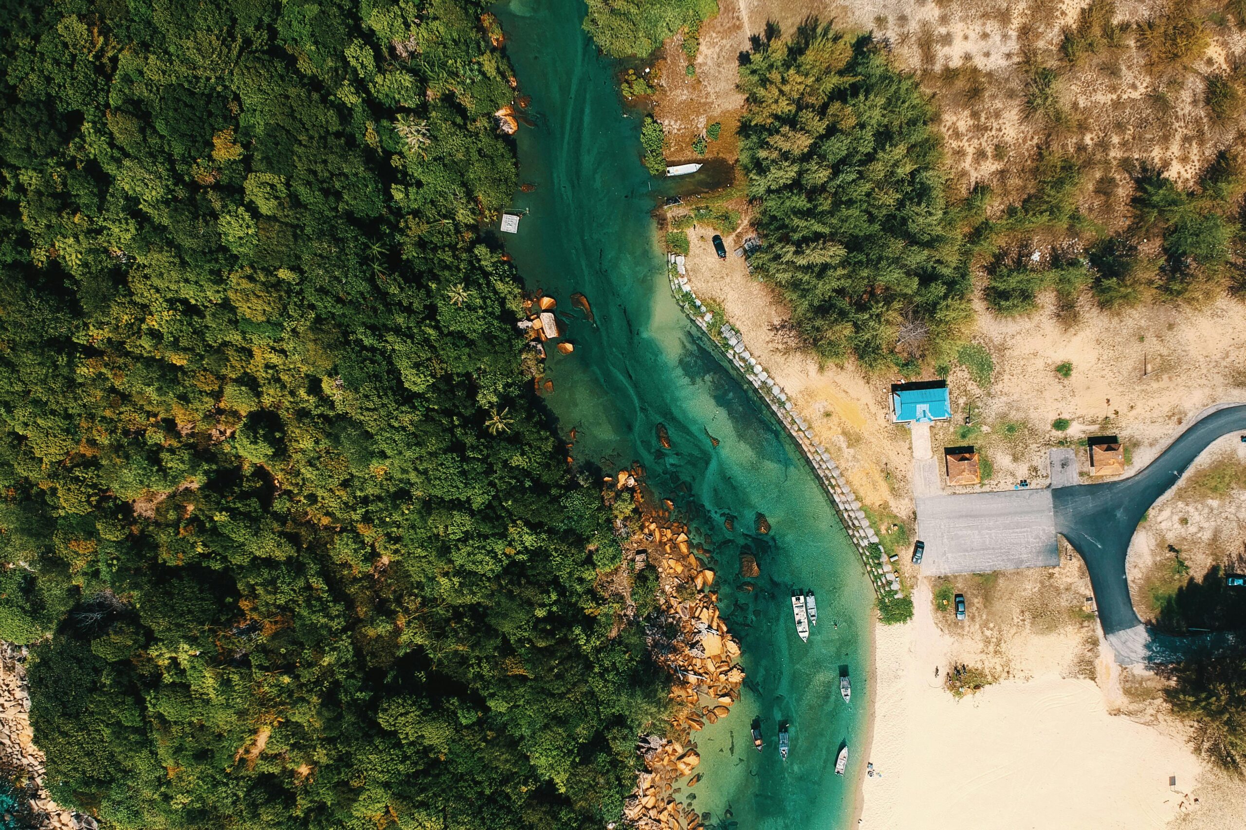 Seqwater Lakeside Vegetation Planting Guide