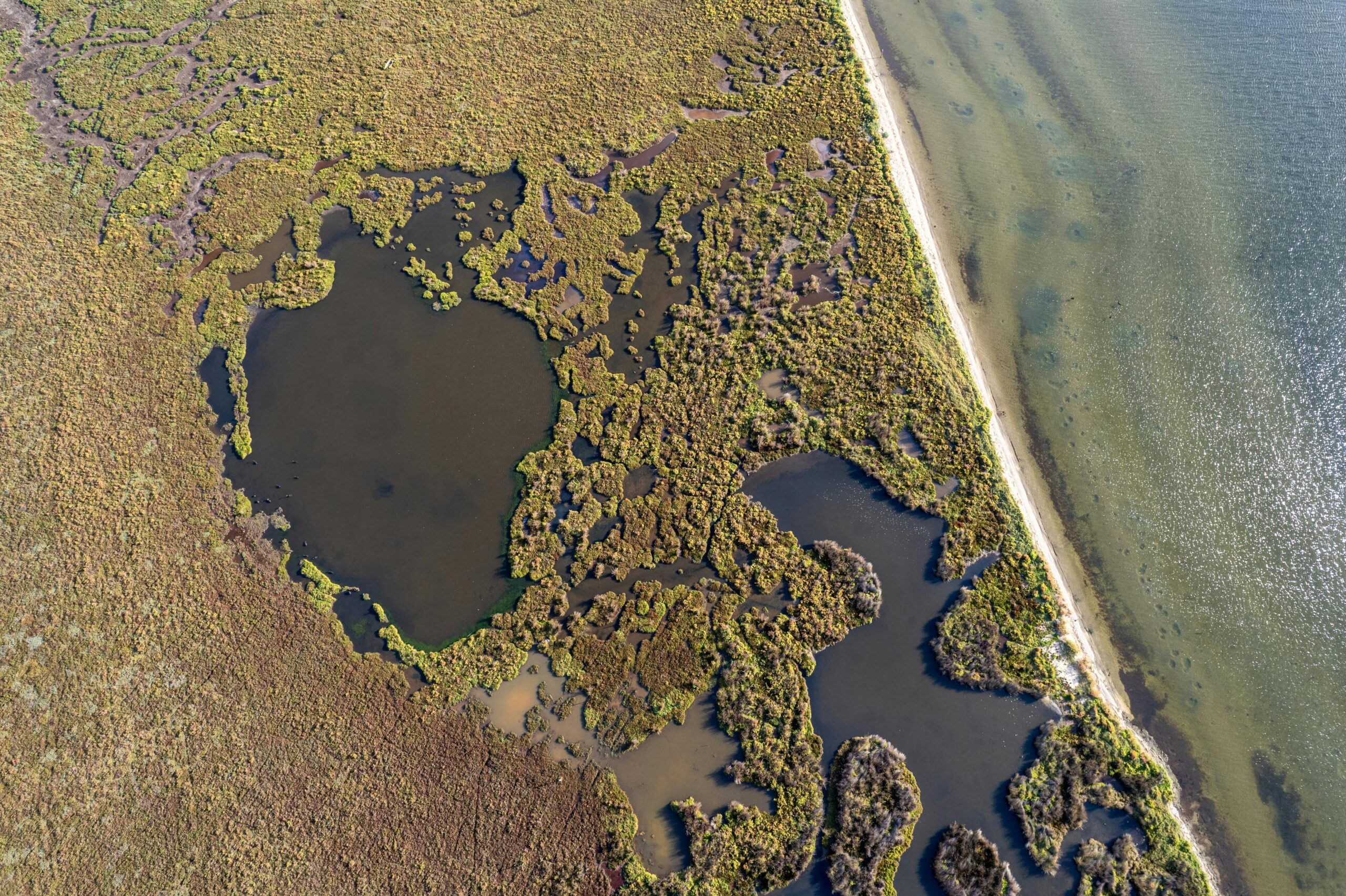 Priority Wetland Assessment